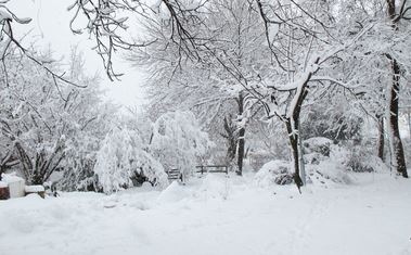 La  neige