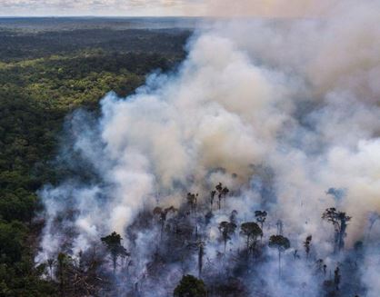 L' Amazonie  brûle