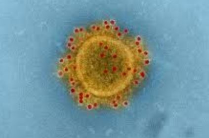 Coronavirus