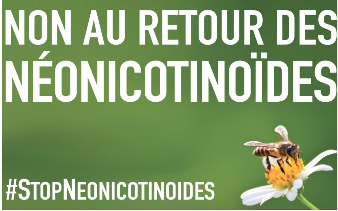 Néonicotinoïdes