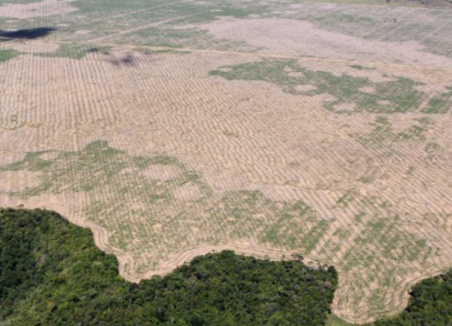 L'Europe dit non à la déforestation