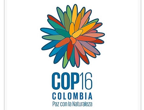 COP 16 sur la biodiversité