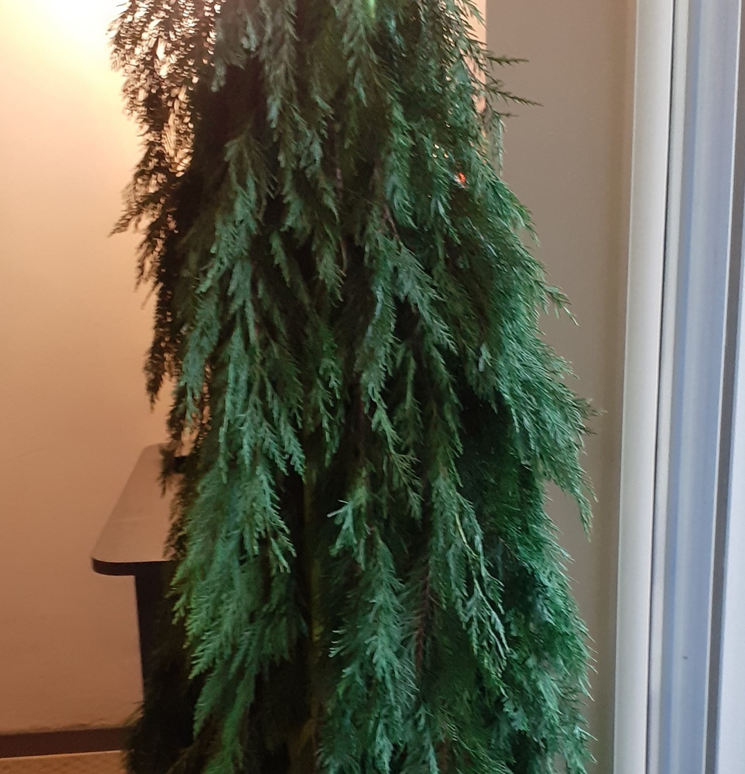 Fabriquer son sapin de Noël