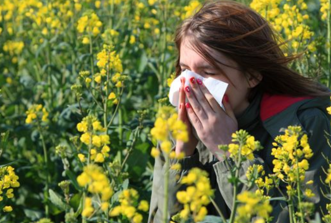 Les allergies au pollen - Article - Access'Infos